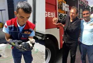 Mahsur kalan bayku ve yaralanan yavru kediyi itfaiye kurtard