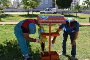 Kocasinan Belediyesi sokak hayvanlarn sahipsiz brakmad