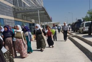 anlurfada sulama kavgas: 3 l, 1 yaral