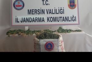 43 kilo esrar ele geirildi