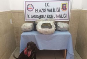 Trendeki 26 kilo esrar narkotik kpekleri buldu