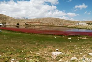  Alanyada krmzya dnen gl artt