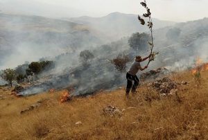 Piknikilerden kalma kller az daha beldeyi yakyordu