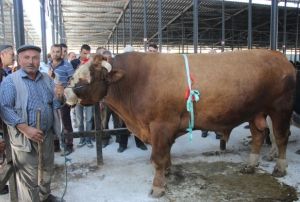1 ton 600 kiloluk 'Paa' otomobil fiyatna satld