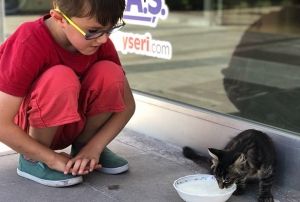 Su giderine skan kediyi ocuklar kurtard