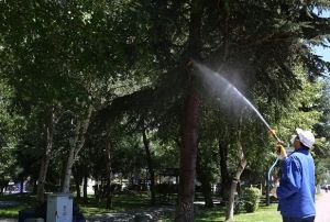 Melikgazi'de aa ve parklarda srekli ilalama