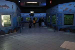 Hayvanat bahesindeki dev akvaryumlarda bayram temizlii