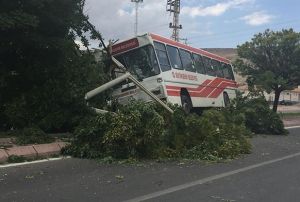 Trafik kazasnda yolcu otobs refje kt