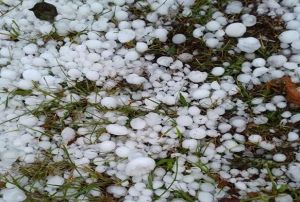 Ordu'da dolu ya