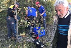 A kurttan kaan 40 koyun telef oldu