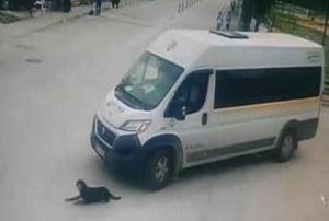O ofr iinden kovuldu