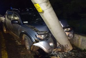 Elektrik direine arpan src burnu kanamadan kurtuldu