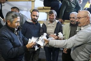 Gvercin sevdas arabasn sattrd