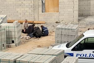 naattan dp len arkadalarnn bandan ayrlmadlar