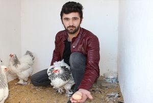 Bu yumurtann tanesi 40 TL