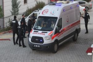 Eski Koca Deheti: 1 l, 2 yaral
