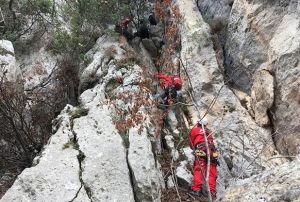 Uurumda  mahsur kalan keiler AKUT ekiplerince kurtarld