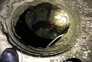 Kanalizasyona den kpek devriye atan bekiler tarafndan kurtarld