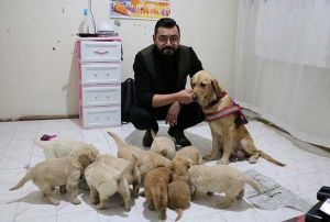 Yavrulayan kpei iin zel ev kiralad