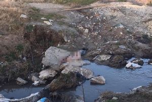 Derede erkek cesedi bulundu