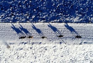 Karlar altnda drtnala zgrlk havadan byle grntlendi