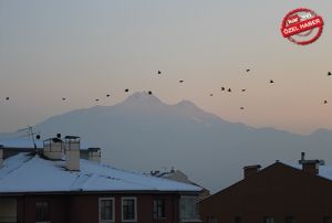 Kk Mahallesinin Dakik Kular