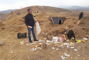 Sokak kpeklerini eski plk alannda lme terk ettiler