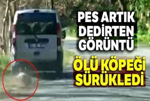  l kpei srkledi