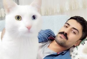 Beinci kattan den kedisi iin 190 bin lira harcad