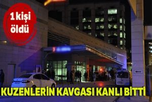 Kuzenlerin kavgas kanl bitti: 1 l