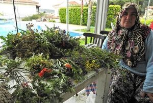 Alaat Ot Festivali sona erdi