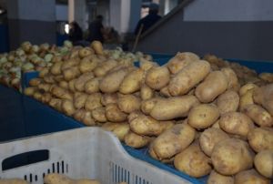  Ramazan ayyla birlikte patates ve soan fiyatlarnda d