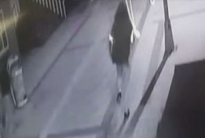 stanbul'da gen kadna evinde deheti yaattlar