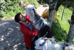 Keisi ile kurduu ba ABD'li yapmclarn bile dikkatini ekti
