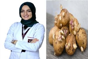 Filizlenen patates ldrebilir