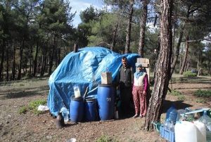 Bu iftin evi 32 yldr ormanlar