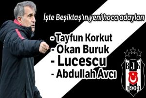 Beikta'ta teknik direktr harekat balyor