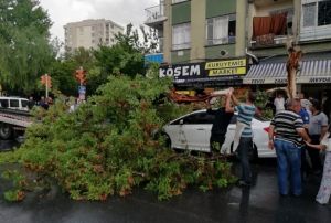 Kayseri rzgardan devrilen aa otomobilin zerine dt