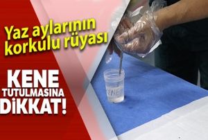 Yaz aylarnn korkulu ryas kene tutulmasna dikkat