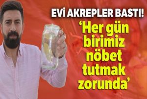  Evi akrepler bast