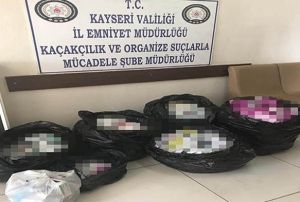 Kayseri'de cinsel gc artrc hap operasyonu: 1 gzalt
