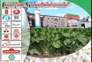 zelletirme daresi Kayseri ekerdeki hissesini varlk fonuna devret