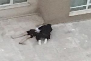  4. kattan den sevgilisinin banda alayan gence tahliye