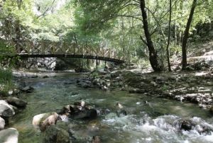 Yazn scanda kanyona gelenler yor