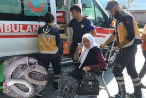 Yal kadn amar asarken ylan soktu