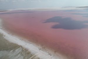 Tuz Gl pembe renge brnd