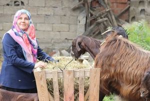  Bahesinde 17 bin lirayla balad ite siparilere yetiemiyor
