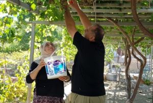 zmn pekmeze uzanan hikayesi