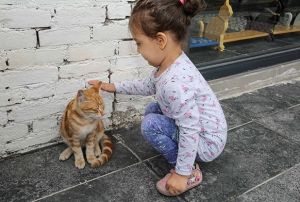 Sevginin festivali: FestPati