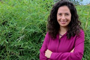 'Aileler kardeler arasndaki dengeyi iyi kurmal'
